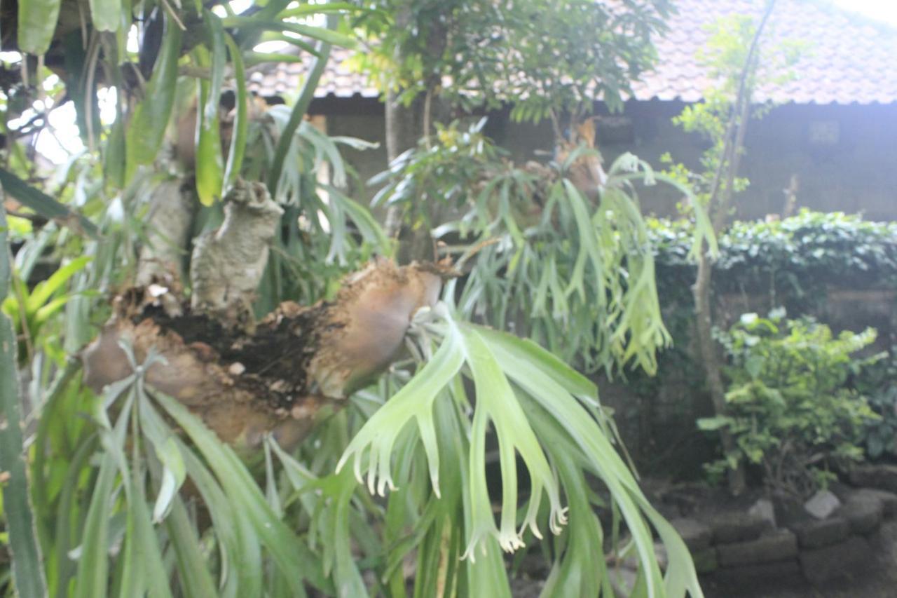 Umah De Arlika Ubud エクステリア 写真