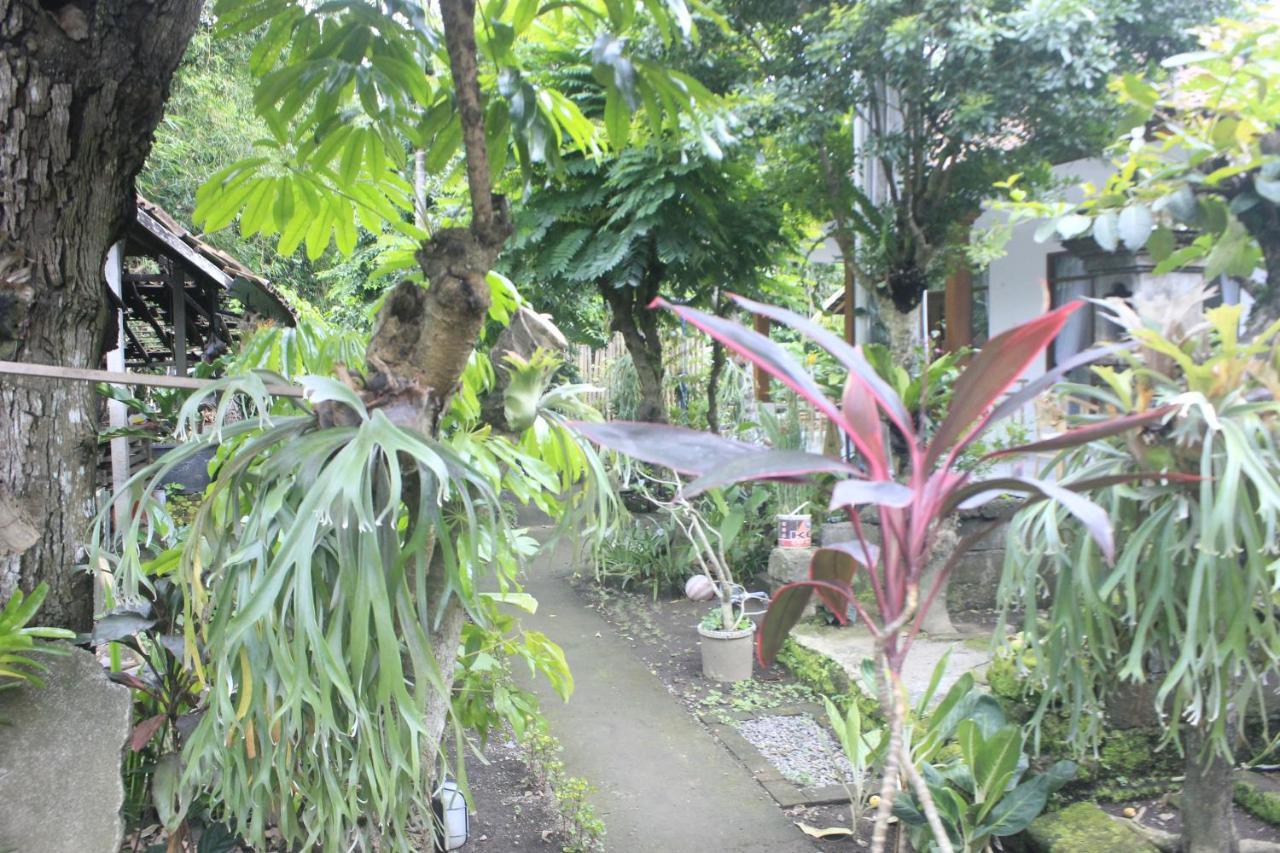 Umah De Arlika Ubud エクステリア 写真